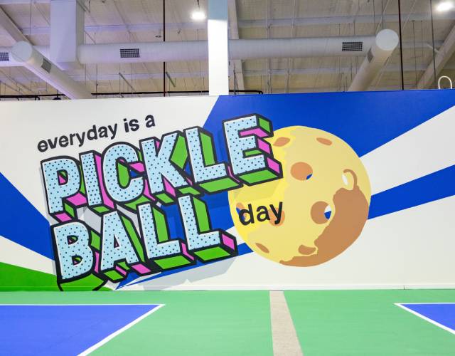pickleball img